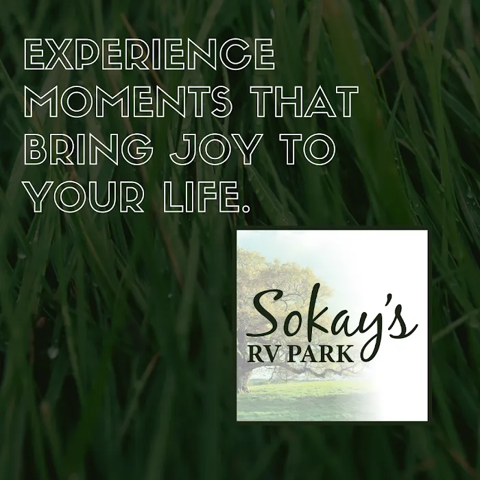 Sokay's RV Park Picture 7