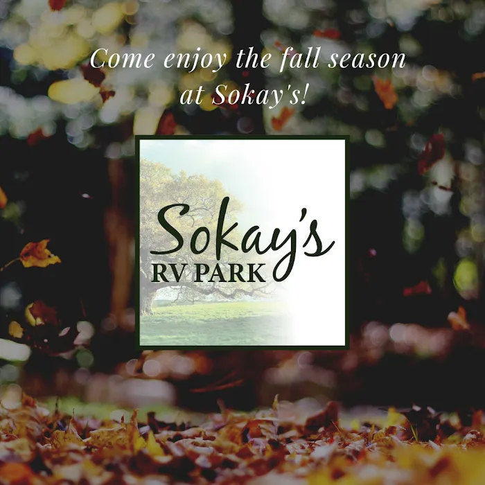 Sokay's RV Park Picture 6