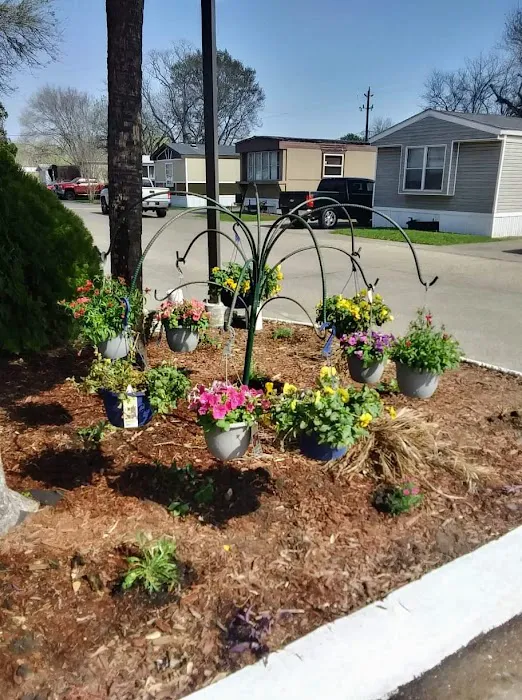 Bramor Place Mobile Home Park Picture 7