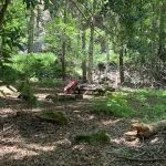 Lower Bear Camp
