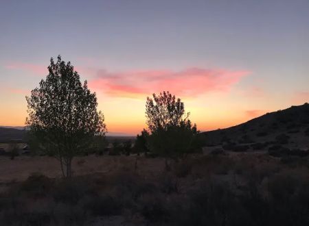 Cielos