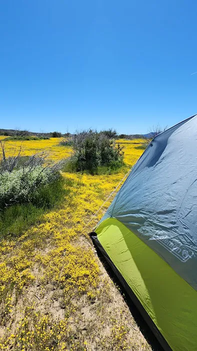 Campground Picture 6