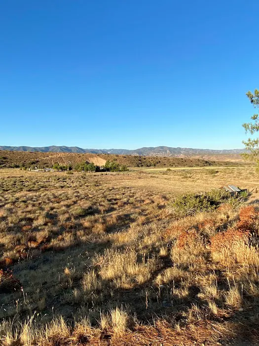 Songdog Ranch Picture 8