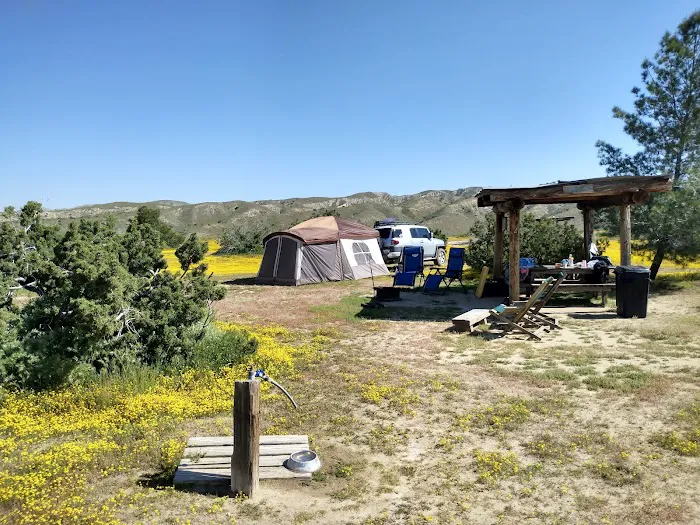 Songdog Ranch Picture 4