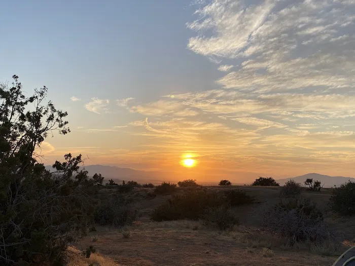 Songdog Ranch Picture 6