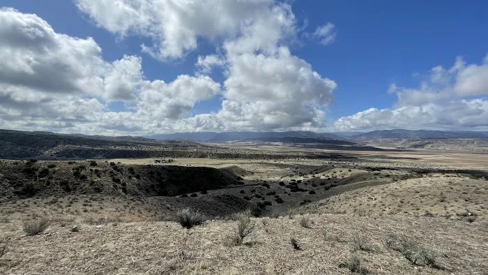Songdog Ranch Picture 1