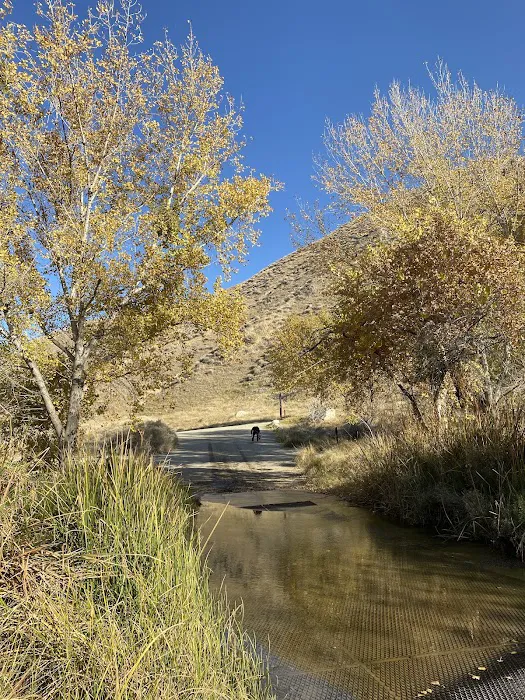 The Crossing Group Campground Picture 9