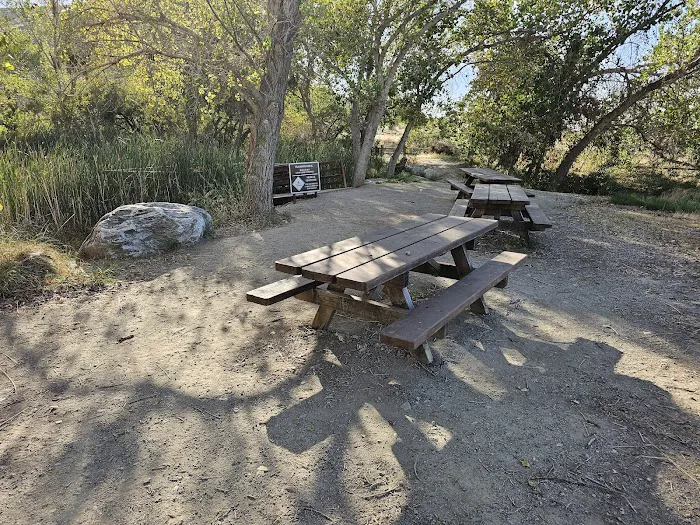 The Crossing Group Campground Picture 8