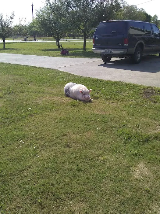 Casa RV Park Picture 9