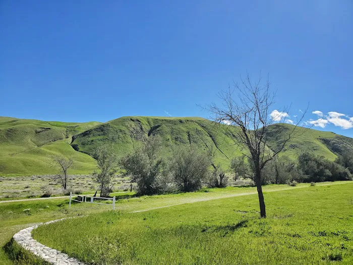 San Emigdio Campground Picture 3