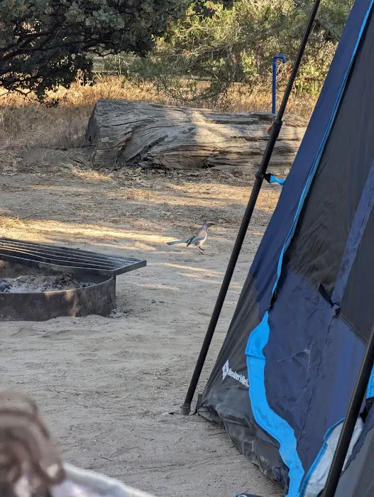 North Shore Campground Picture 4