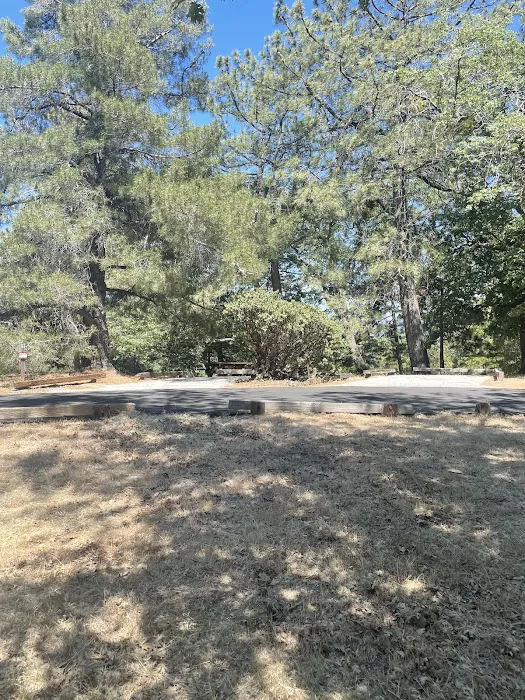 North Shore Campground Picture 7
