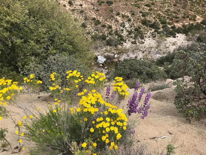 Deep Creek Hot Springs Bowen Ranch Picture 8