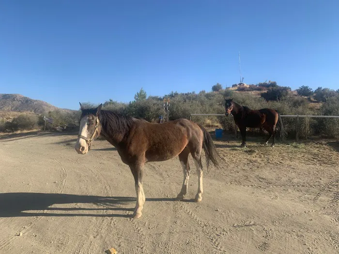 Deep Creek Hot Springs Bowen Ranch Picture 4