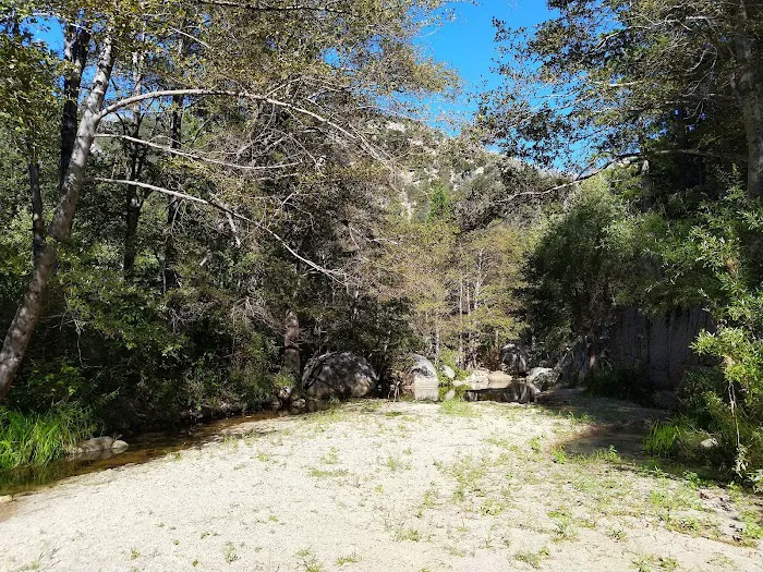Fisherman's Group Campground Picture 9