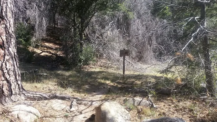 Fisherman's Group Campground Picture 6