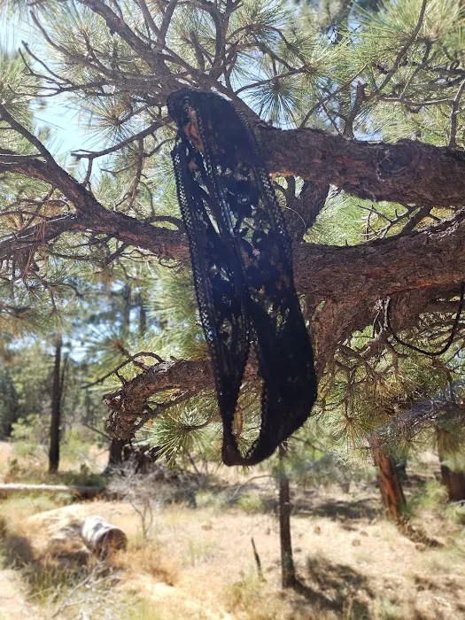 Tent Peg Group Campground Picture 1