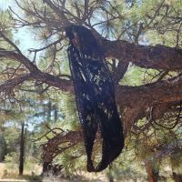 Tent Peg Group Campground ico