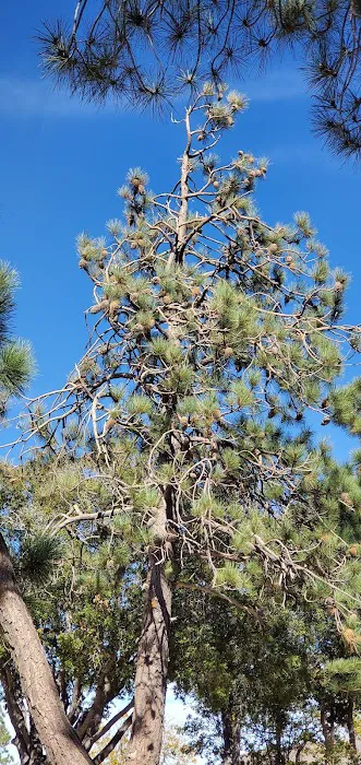 Tent Peg Group Campground Picture 4