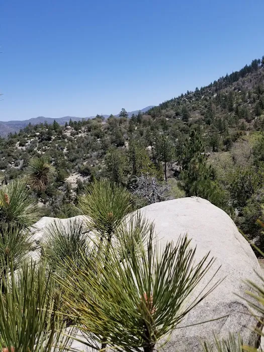 Crab Flats Family Campground Picture 5