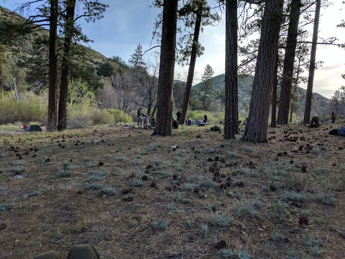 Holcomb Crossing Group Campground Picture 8