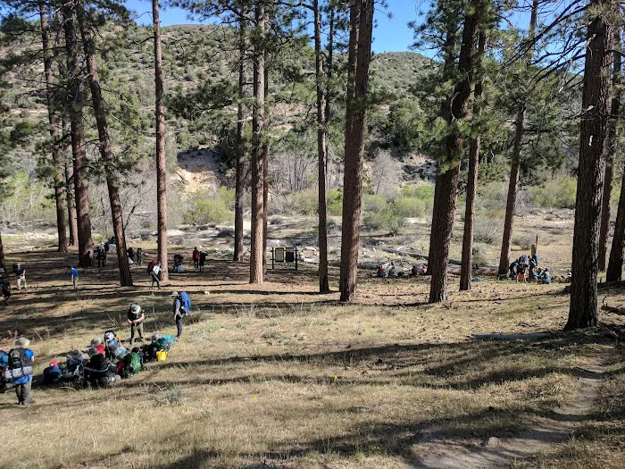 Holcomb Crossing Group Campground Picture 3