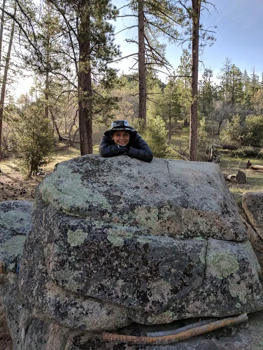 Holcomb Crossing Group Campground Picture 1