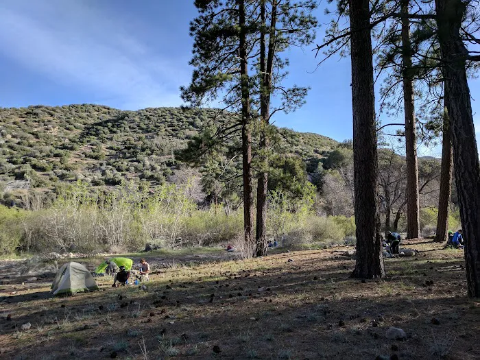 Holcomb Crossing Group Campground Picture 5