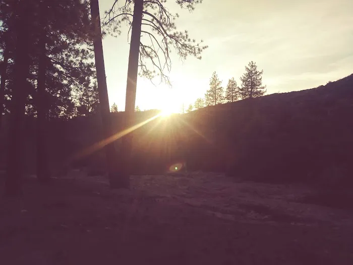 Holcomb Crossing Group Campground Picture 4