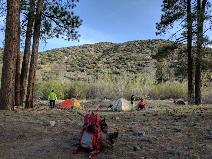 Holcomb Crossing Group Campground Picture 7