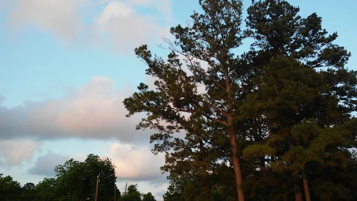 Old River Acres Mobile Home Pk Picture 7