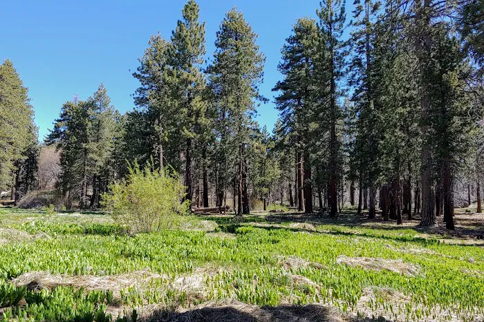 Green Valley Campground Picture 1
