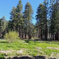 Green Valley Campground ico