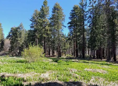 Green Valley Campground