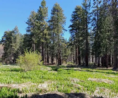 Green Valley Campground