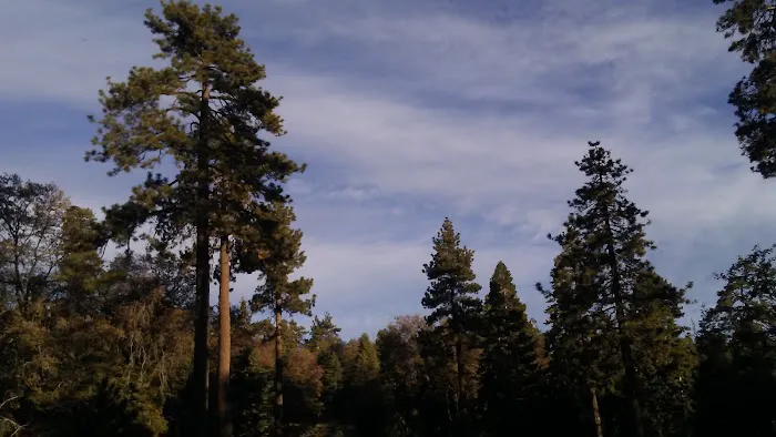 Green Valley Campground Picture 4