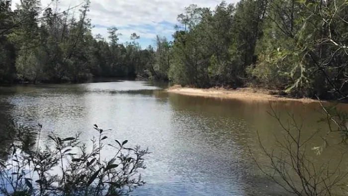 Bluff Creek Campground Picture 10