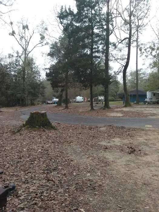 Bluff Creek Campground Picture 1