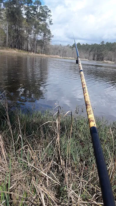 Turkey Fork Recreation Area Picture 4