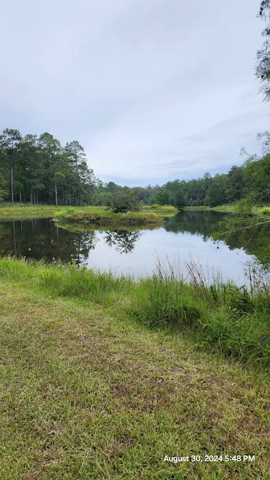 Turkey Fork Recreation Area Picture 3