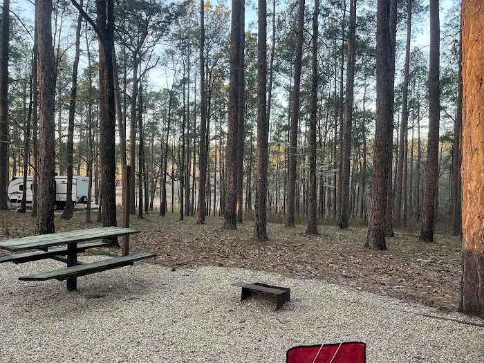 Turkey Fork Recreation Area Picture 10