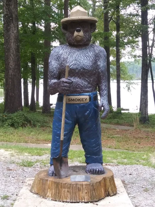Turkey Fork Recreation Area Picture 8