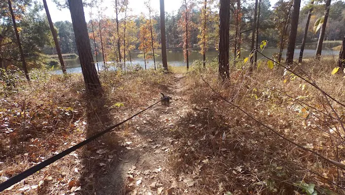 Turkey Fork Recreation Area Picture 9