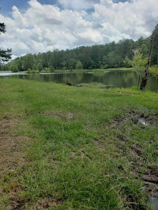 Turkey Fork Recreation Area Picture 6