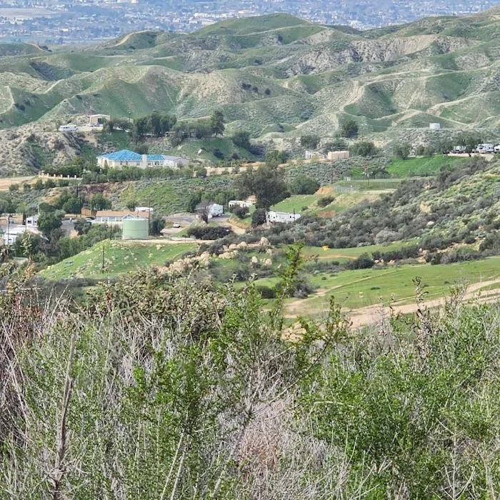 Olive Dell in Colton Picture 9