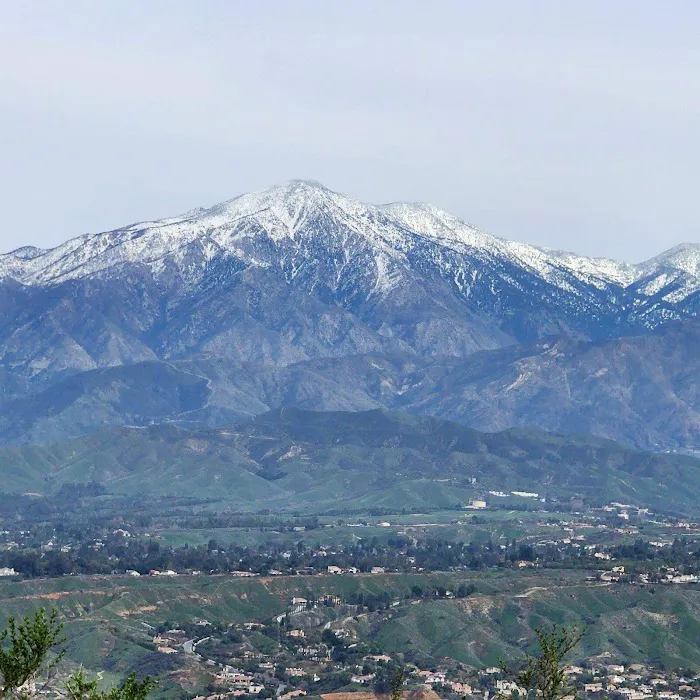 Olive Dell in Colton Picture 5