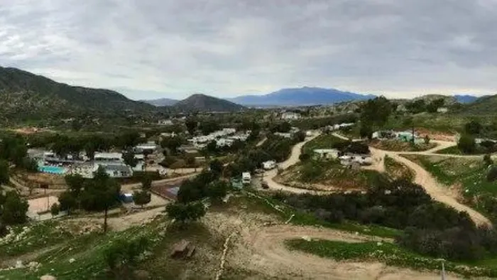 Olive Dell in Colton Picture 8