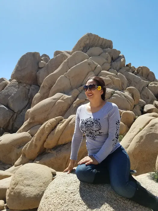 Mission R.V. Park Picture 4