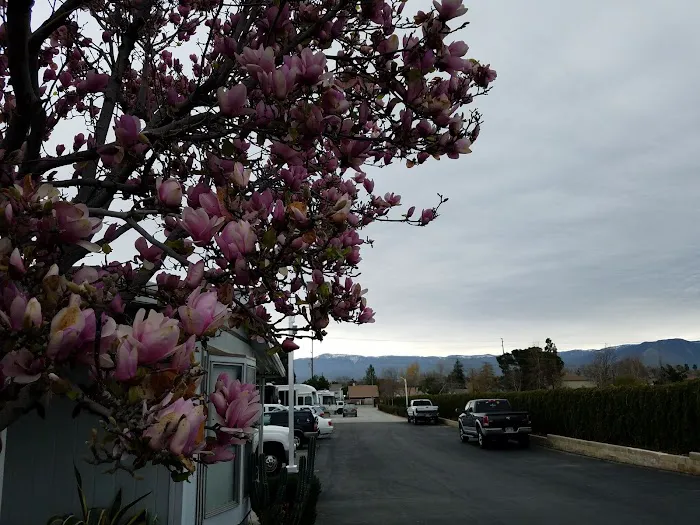 Mission R.V. Park Picture 5