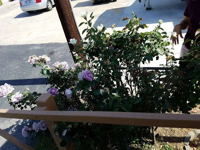 Mission R.V. Park Picture 6